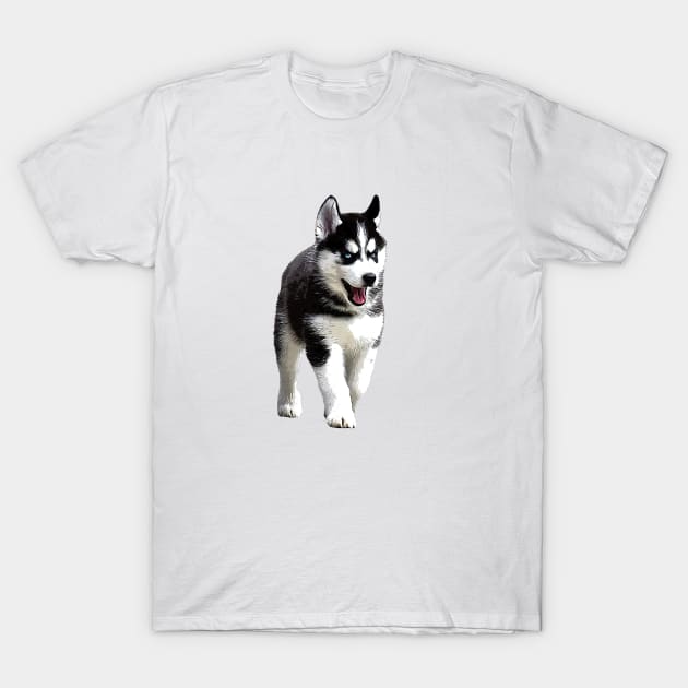 Siberian Husky Puppy Dog T-Shirt by ElegantCat